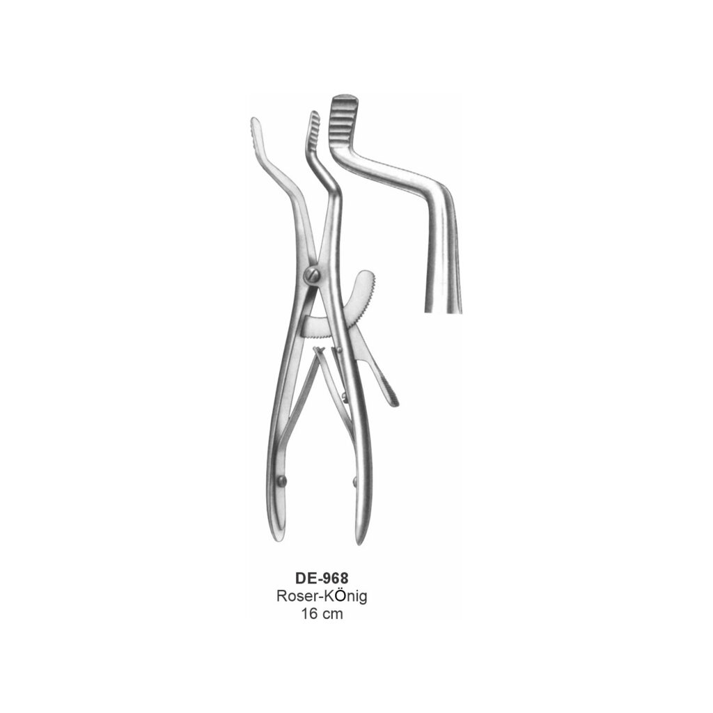 Roser-König-mondsperder 16 cm