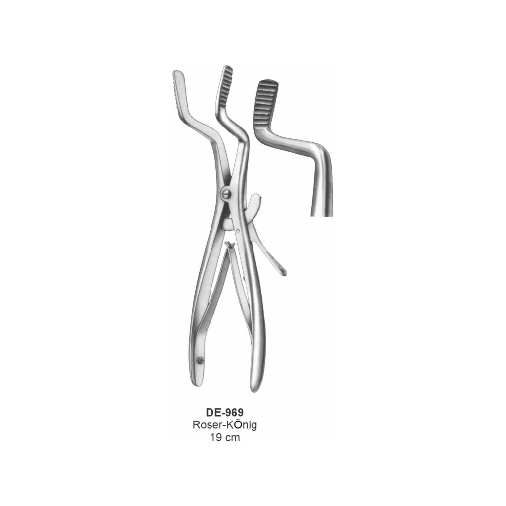 Roser-König-mondsperder 19 cm