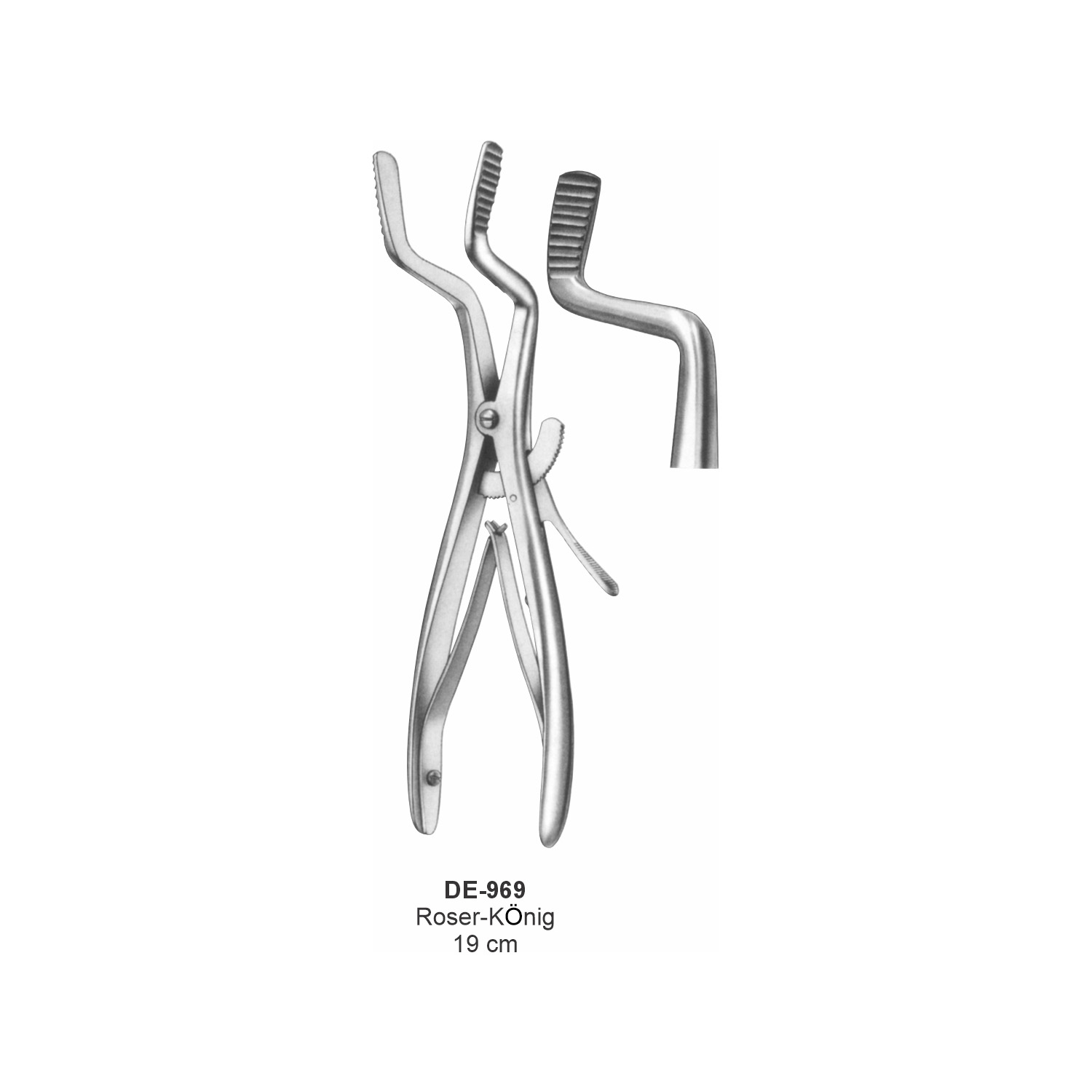 Roser-König-mondsperder 19 cm